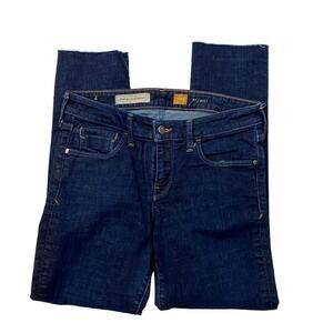 Pilcro and the Letterpress STET skinny jeans Women's 29